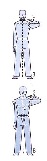 SlabbinckMeasuringChart1