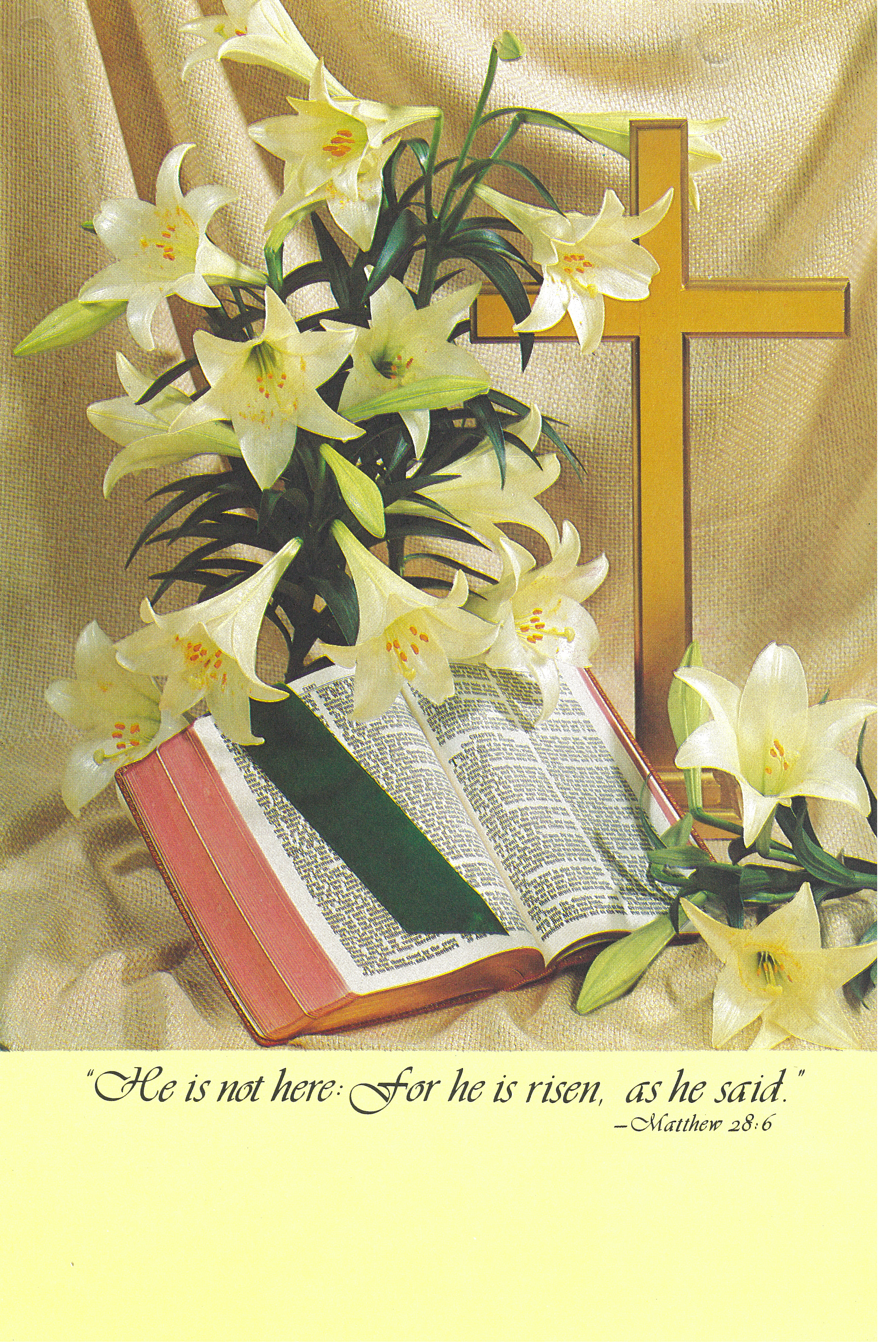 Bulletin Cover Easter He Is Not Here-U1715