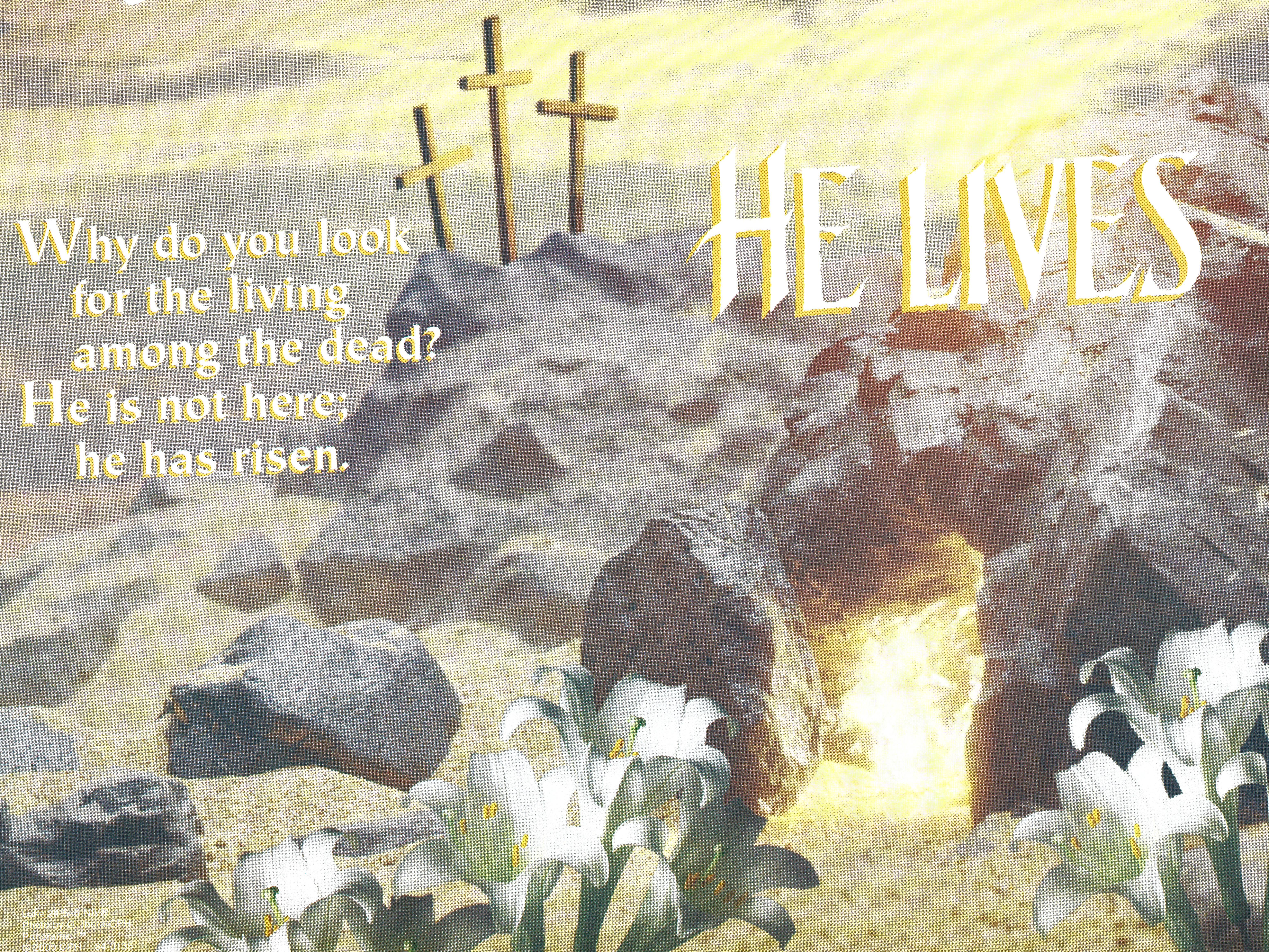 Bulletin Covers Easter He Lives-84-0135