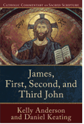 James, First, Second, and Third John by Kelly Anderson 108-9780801049224