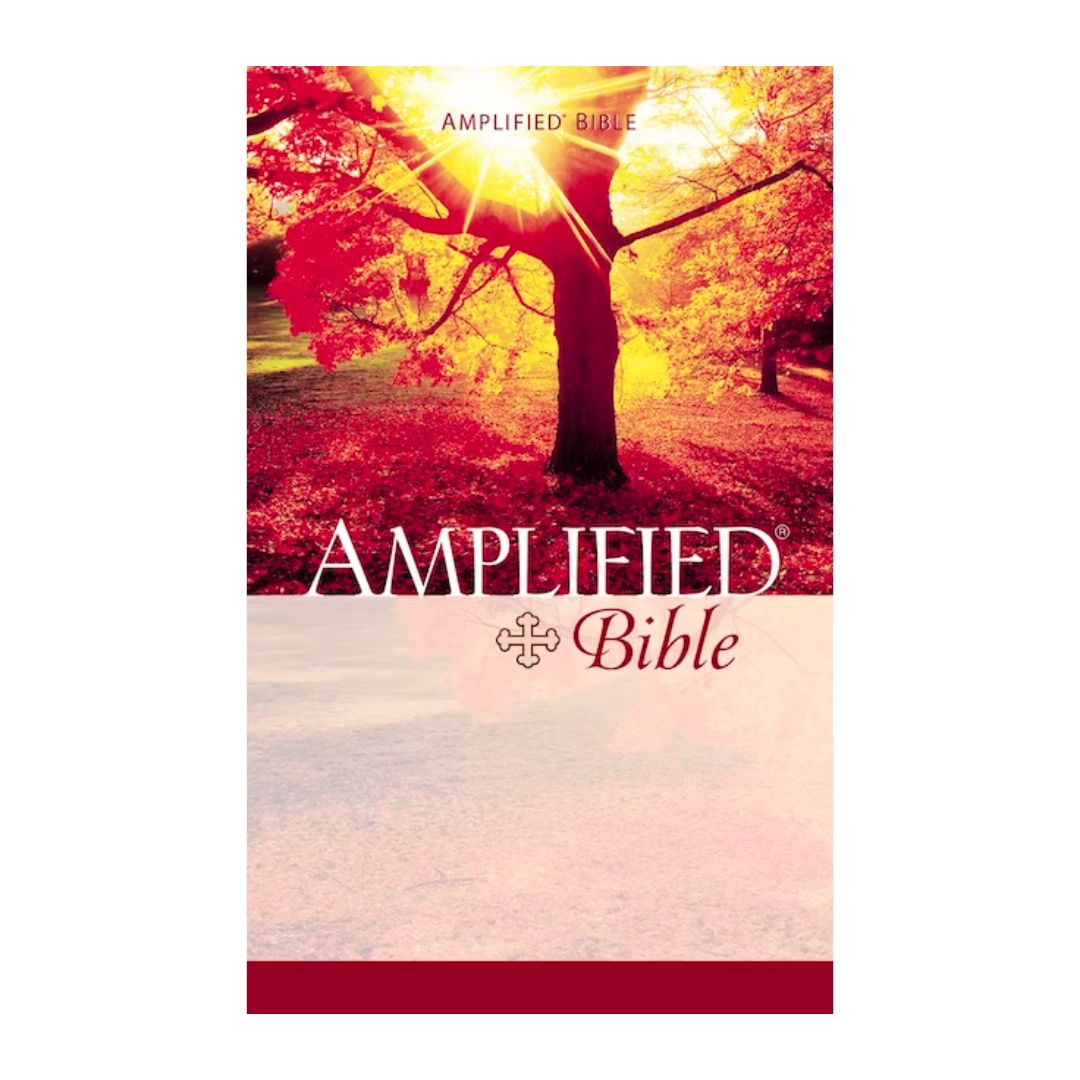 Amplified Bible from Zondervan 108-9780310951858
